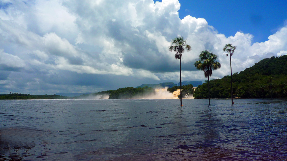 Canaima 2 002